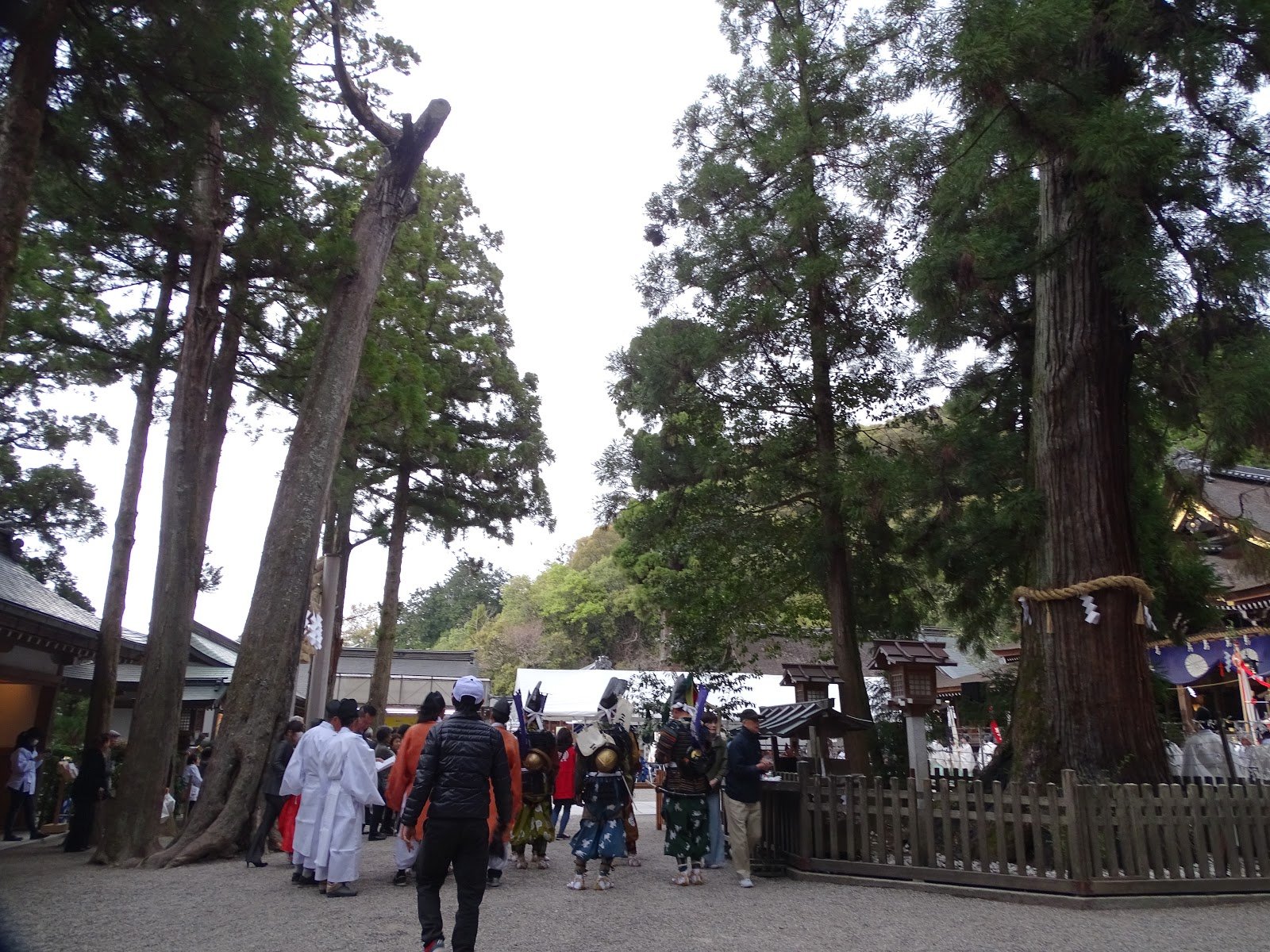 ⛩️ 오미와 신사(오미와진자) 이미지 11